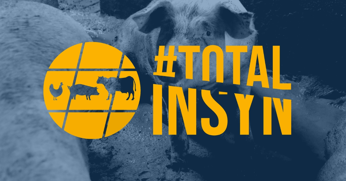 #totalinsyn | Total Insyn